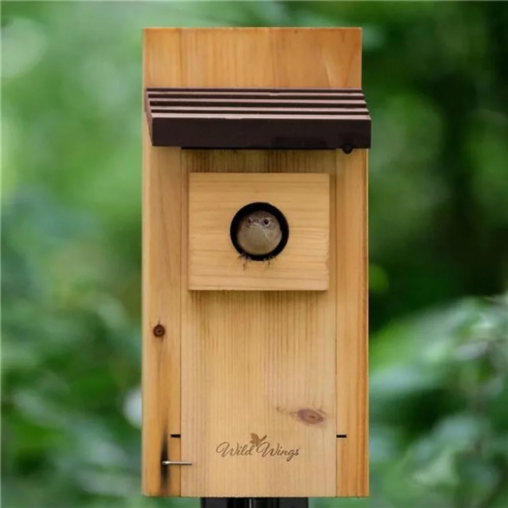 Cedar Blue Bird Box House